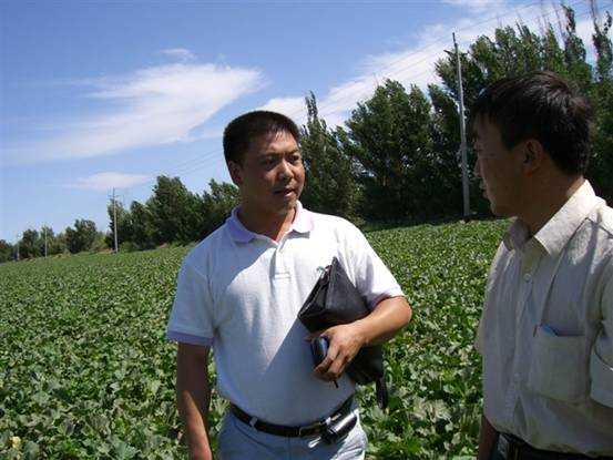 06年公司技術人員到農13師淖毛湖農場與李泉喜站長察看哈密瓜示范地.jpg