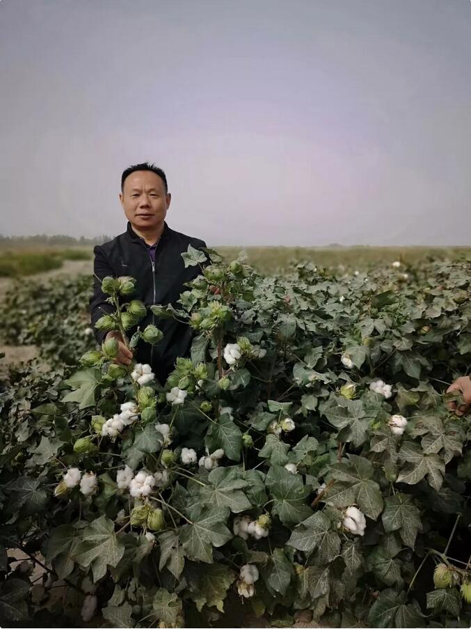 QQ截圖20190205113553.jpg QQ截圖20190205113553.jpg