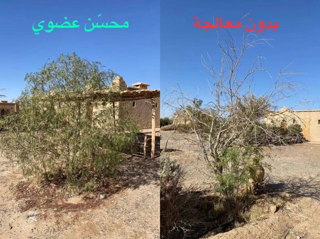 微信圖片_20220316172027.jpg 微信圖片_20220316172027.jpg